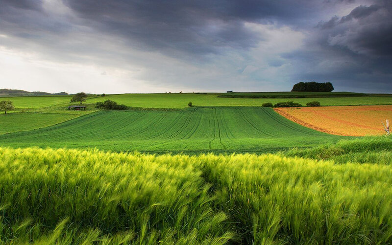Green Fields under Stormy Sky — Dramatic, Afternoon