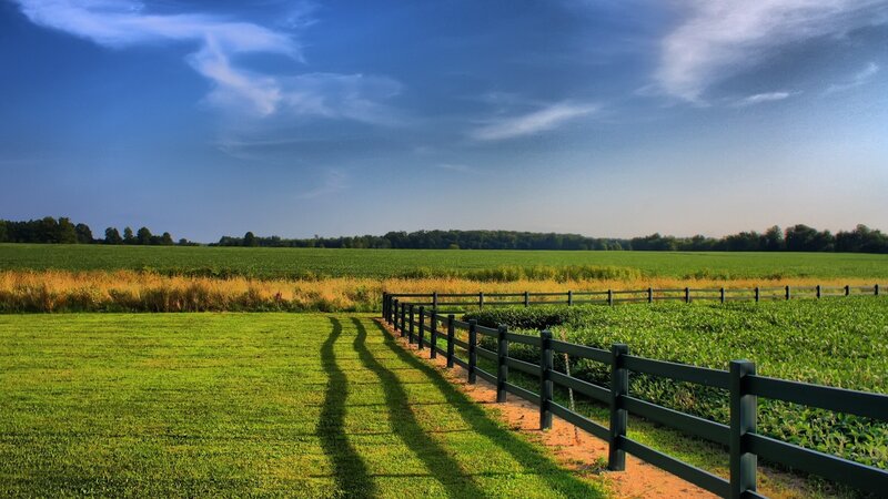 Green Fields with Fence — Serene