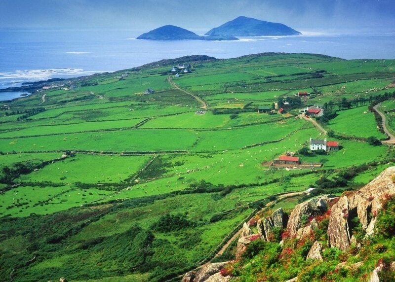 Green Fields with Houses
