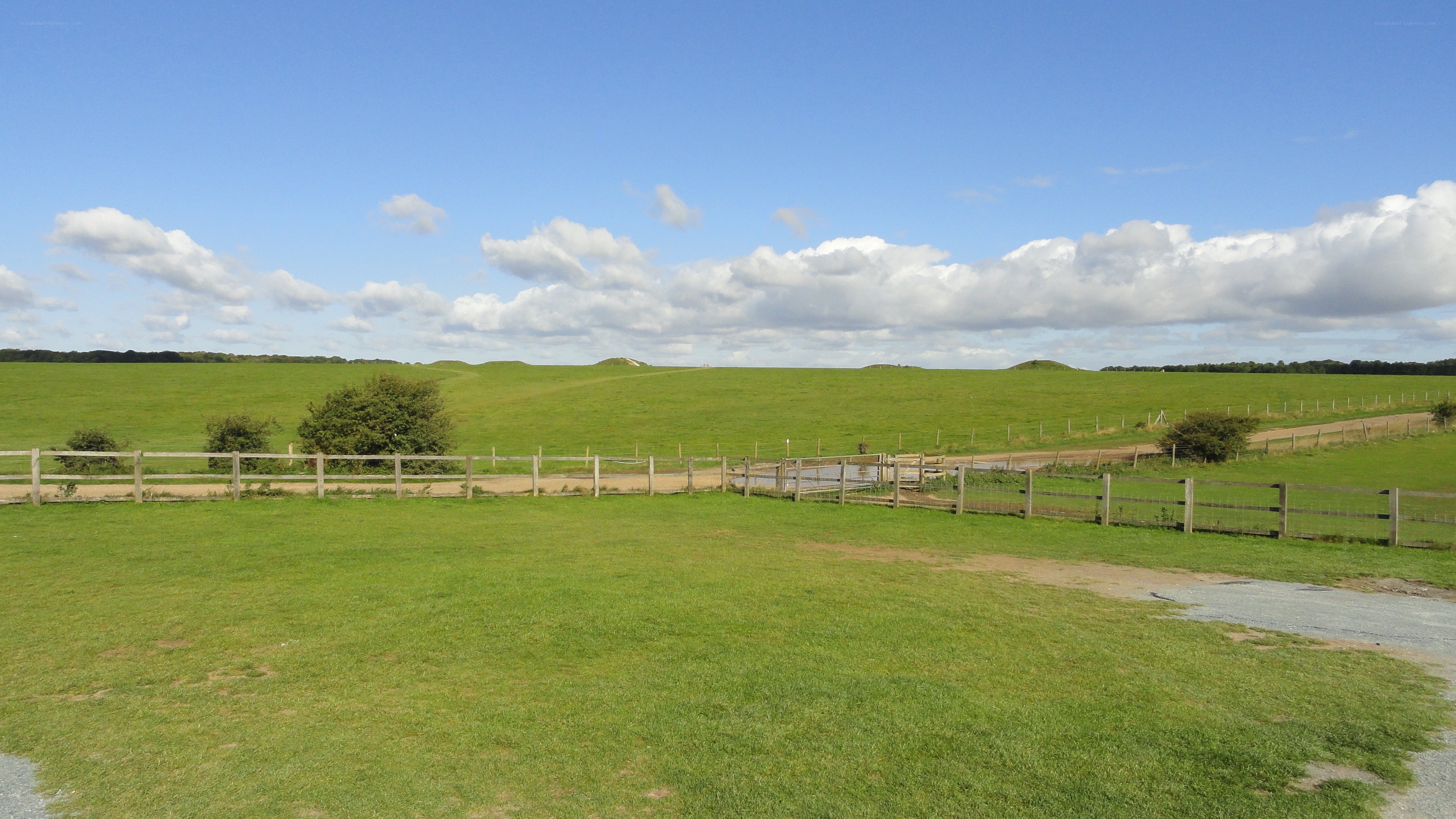 Green fields with mounds