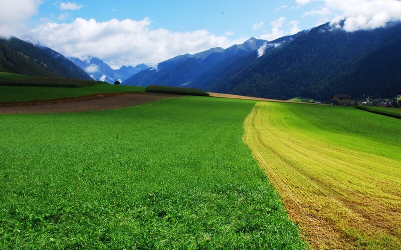Green fields with mountain backdrop