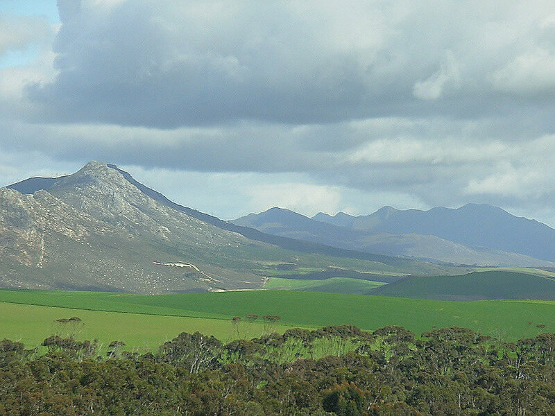 Green fields with mountain backdrop