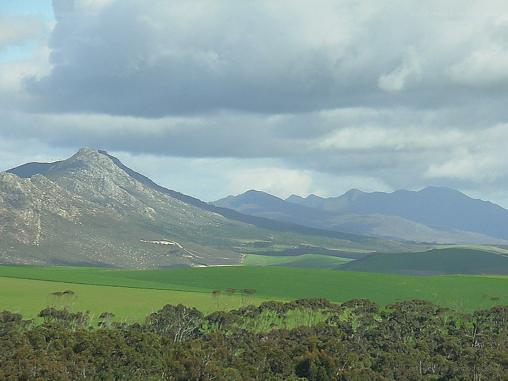 Green fields with mountain backdrop