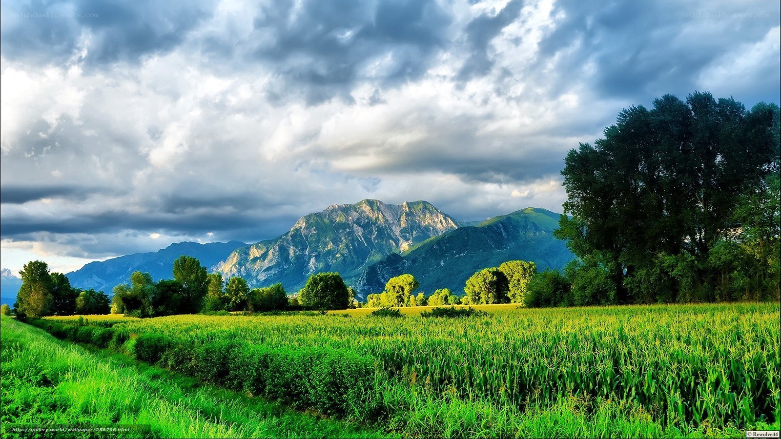 Green fields with mountain view