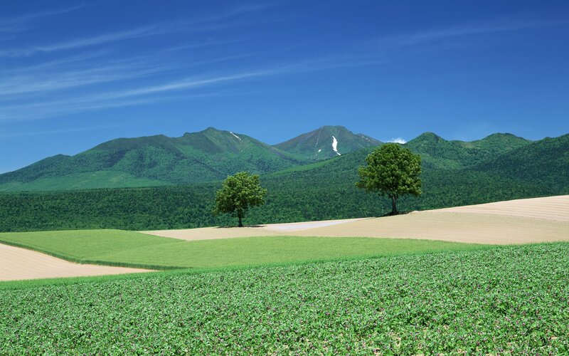 Green Fields with Mountains — Blue, Serene, Summer