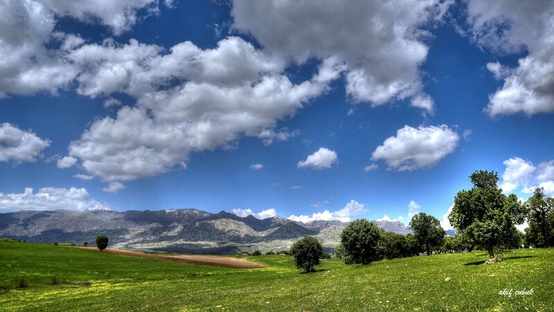 Green Fields with Mountains — Blue, Serene