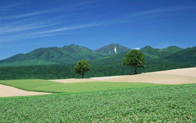 Green Fields with Mountains — Blue