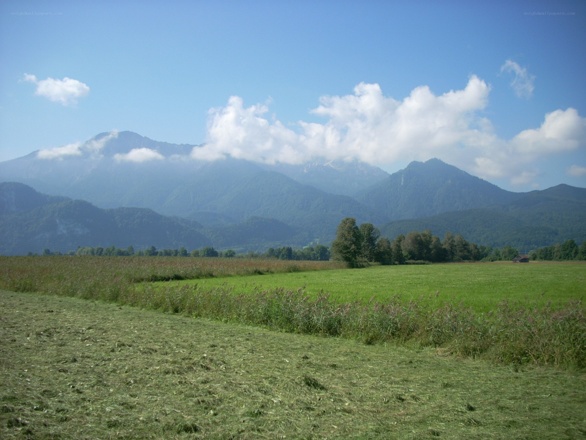 Green fields with mountains in background