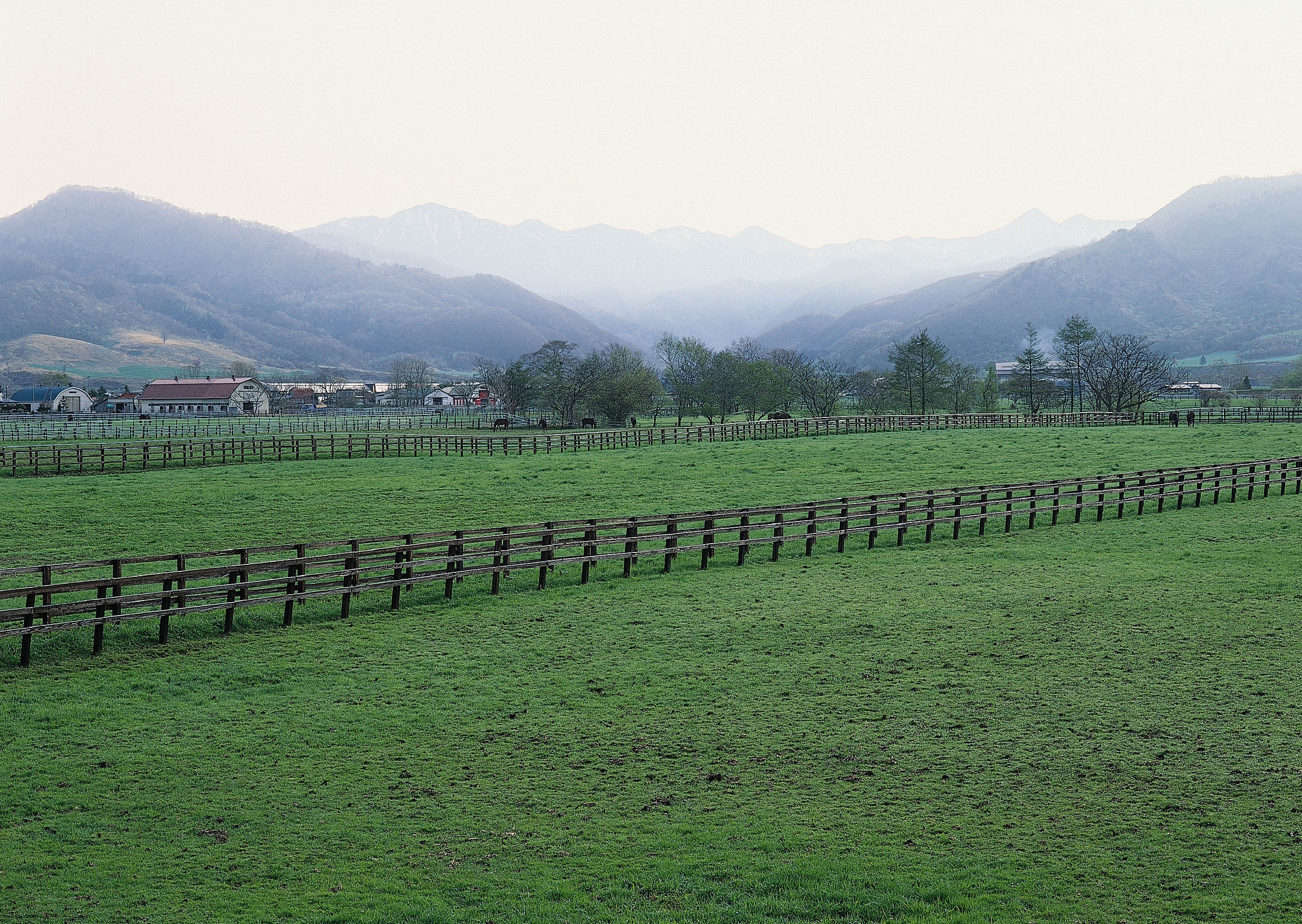 Green fields with mountains in background