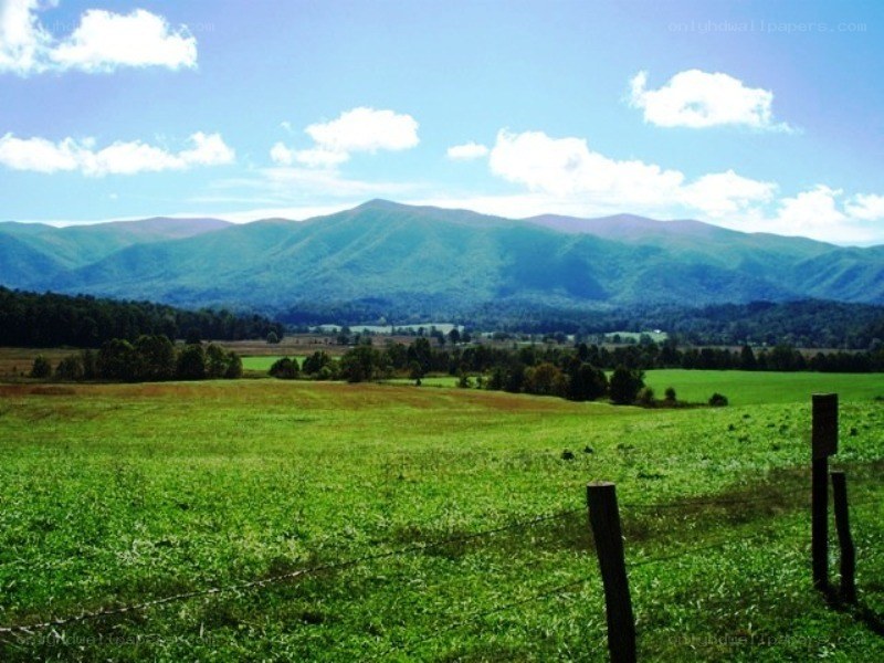 Green fields with mountains in background