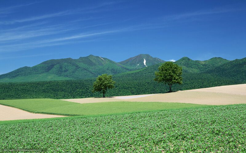 Green fields with mountains in background