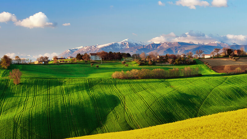 Green Fields with Mountains — Serene, Afternoon