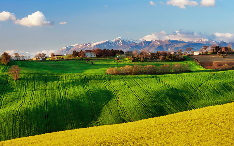 Green Fields with Mountains — Serene