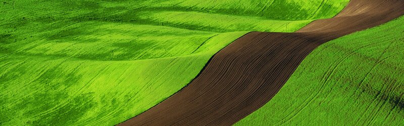 Green Fields with Plowed Soil