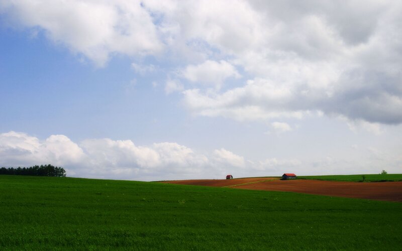 Green Fields with Red-roofed Buildings