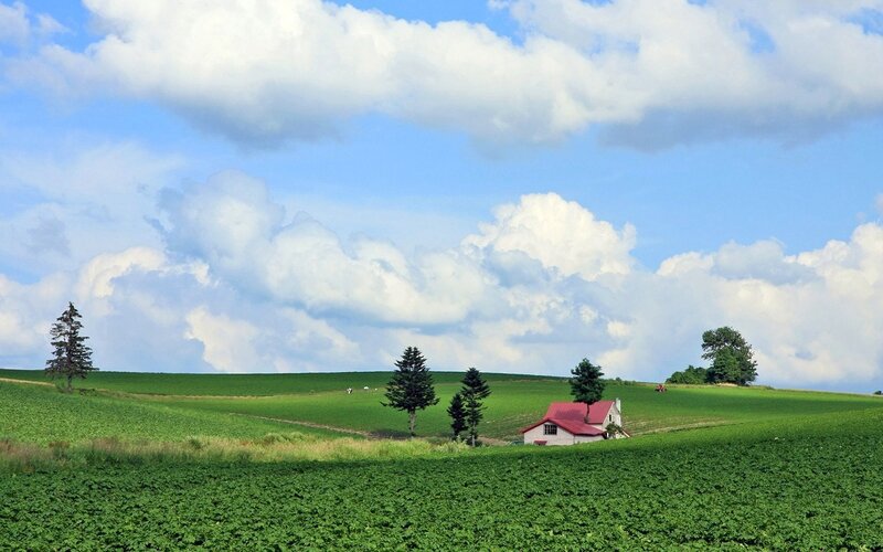 Green fields with red-roofed house