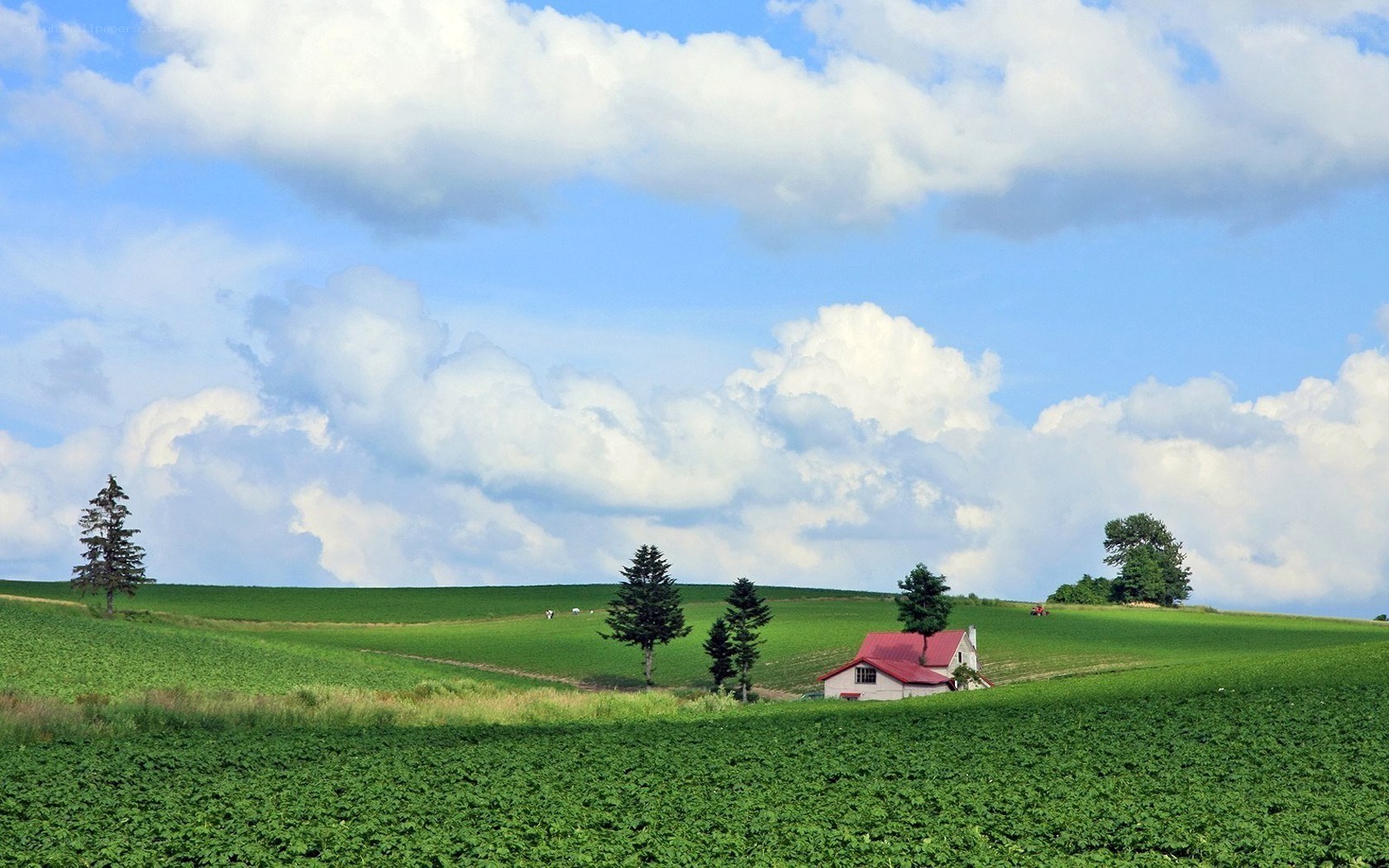 Green fields with red-roofed house