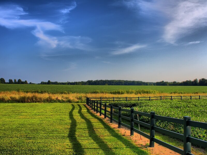 Green fields with wooden fence
