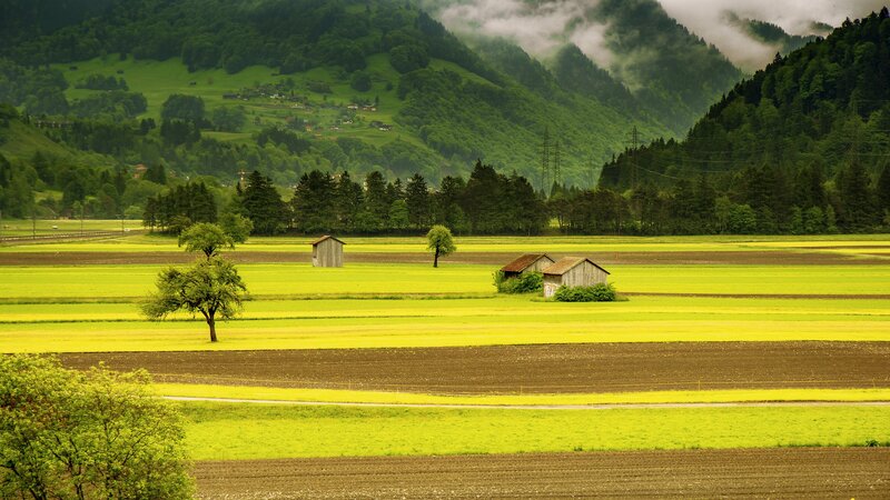 Green Fields with Wooden Huts