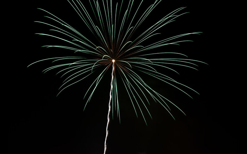 Green Firework Burst — Black