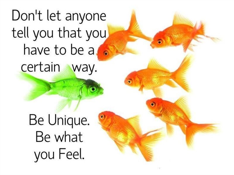 Green Fish Among Goldfish — White