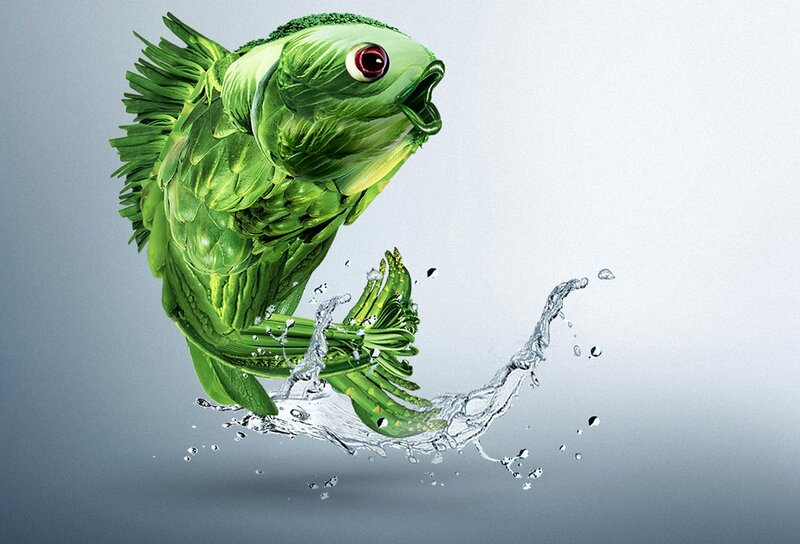 Green Fish Made of Vegetables — Dramatic