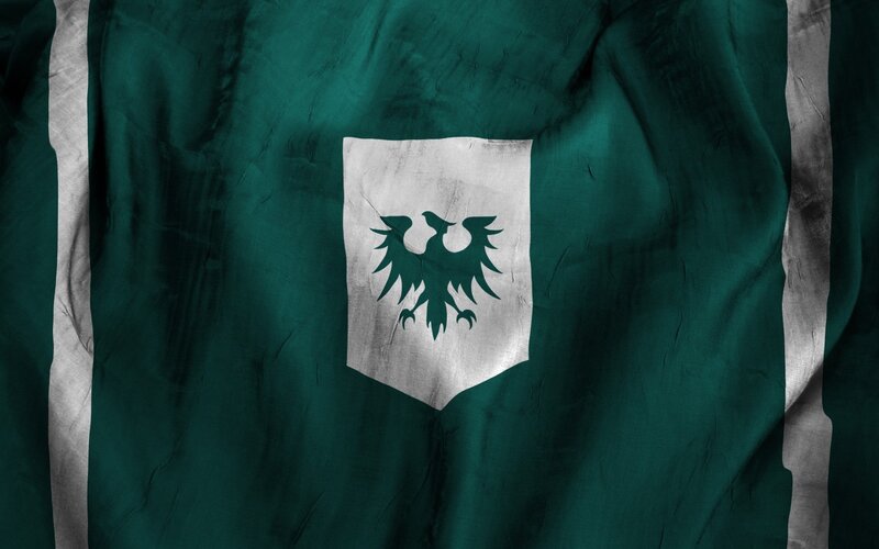 Green Flag with Eagle Emblem — Dramatic