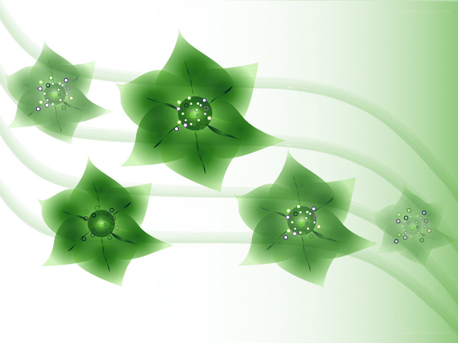green floral abstract design