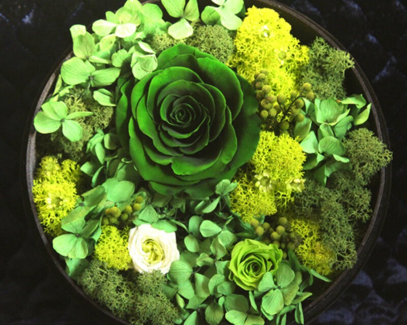 Green Floral Arrangement — Calm