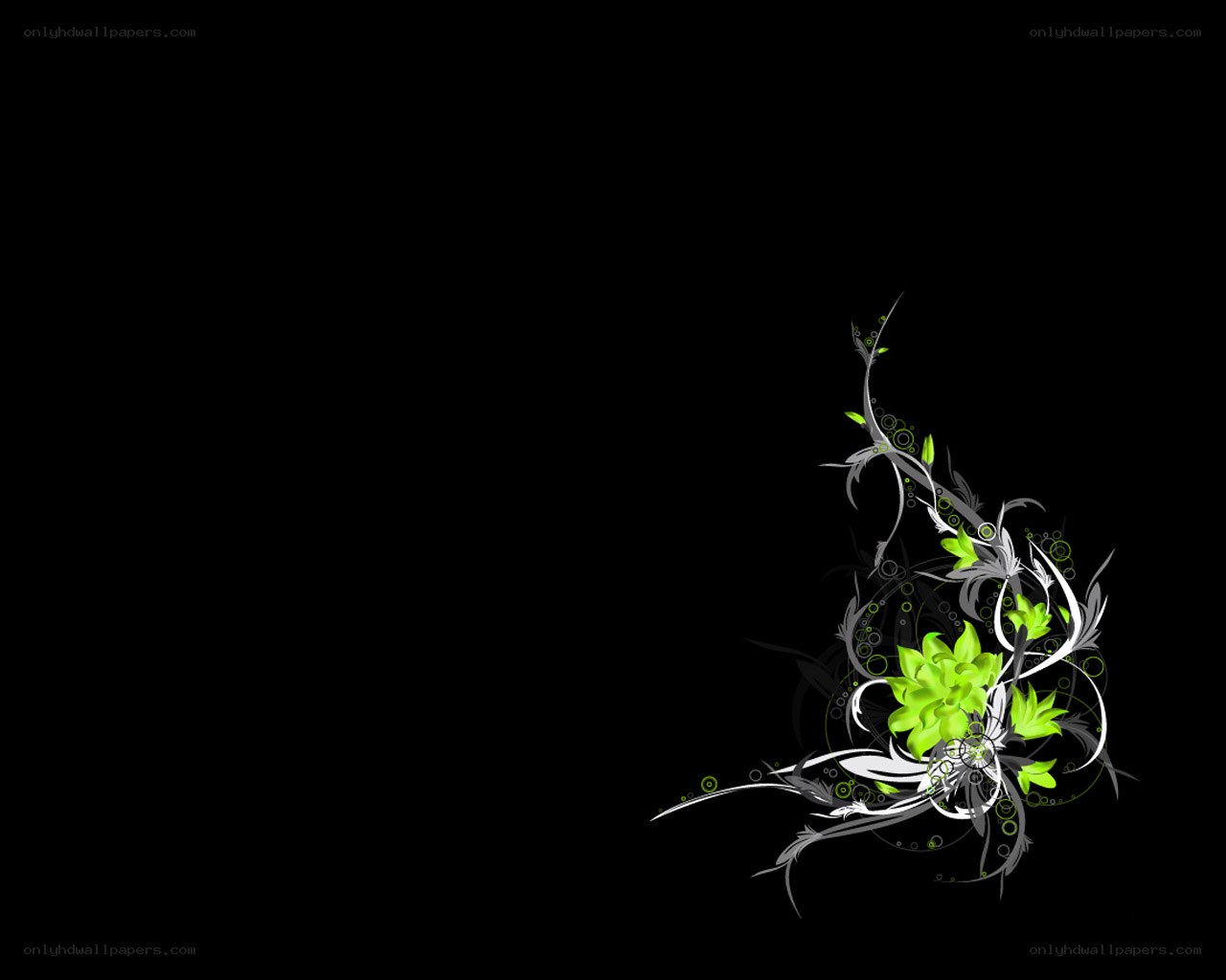 green floral design on black