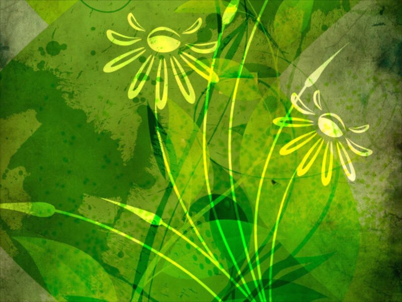 Green Floral Illustration