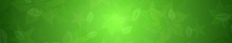 Green Floral Pattern — Calm, Vector Art, Flowers, Leaves, Stars