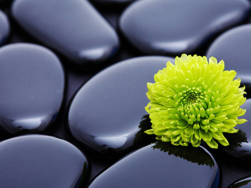Green Flower on Black Stones — Serene