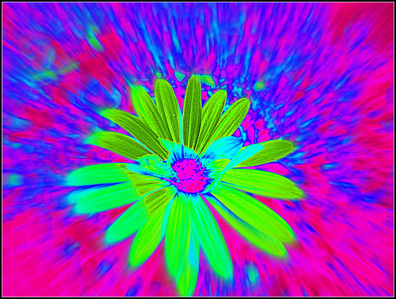 Green Flower with Pink Background