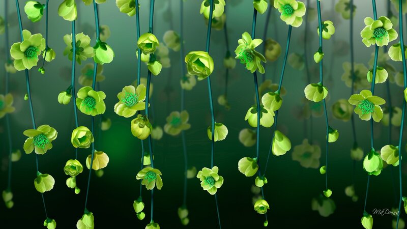 Green Flowers Hanging
