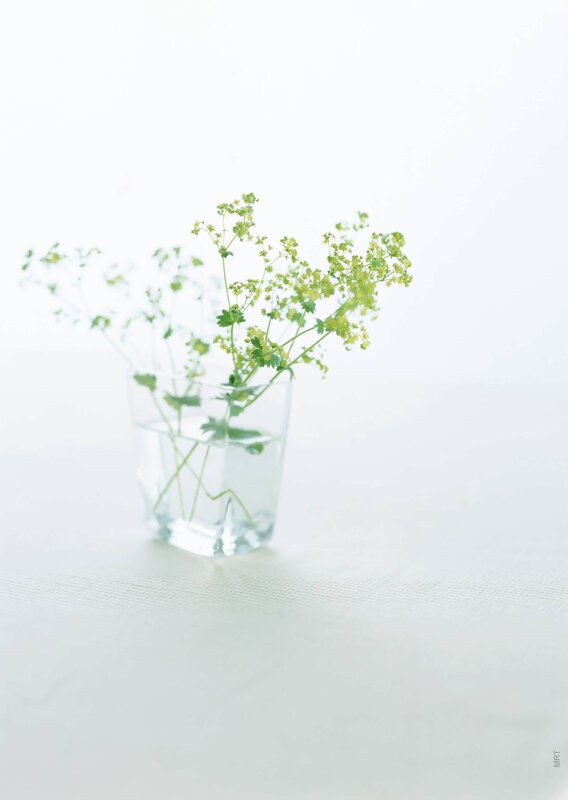 green flowers in a glass