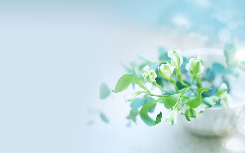 Green Flowers in a Vase