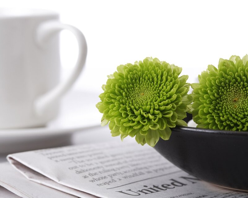 Green flowers on newspaper
