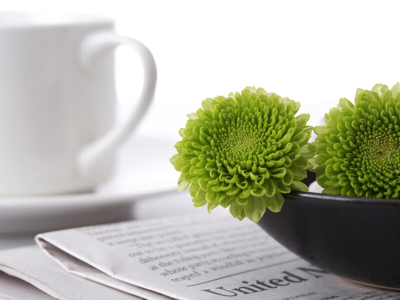 Green flowers on newspaper