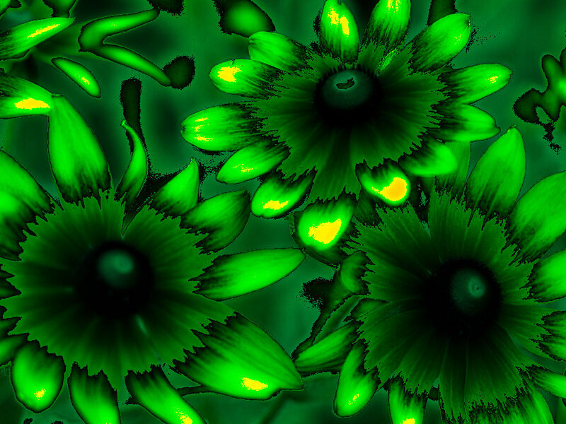 Green Flowers with Black Centers