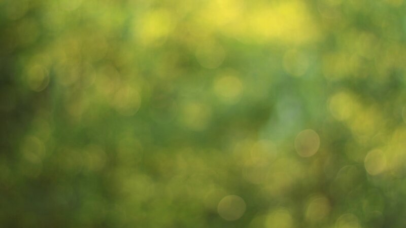 Green Foliage Bokeh — Serene