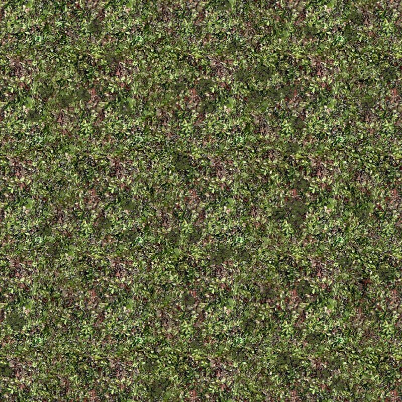 green foliage texture
