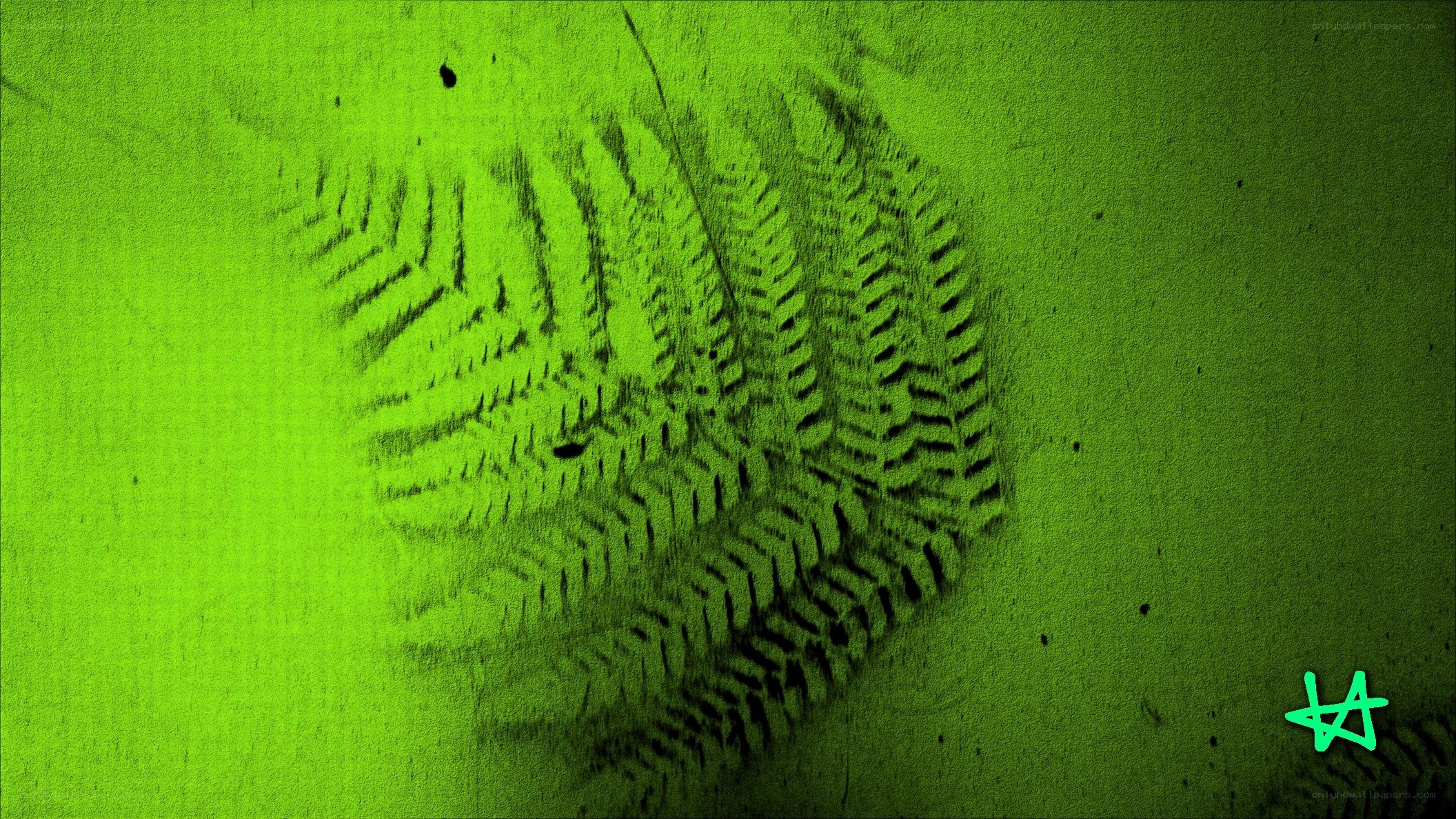 green footprint on ground