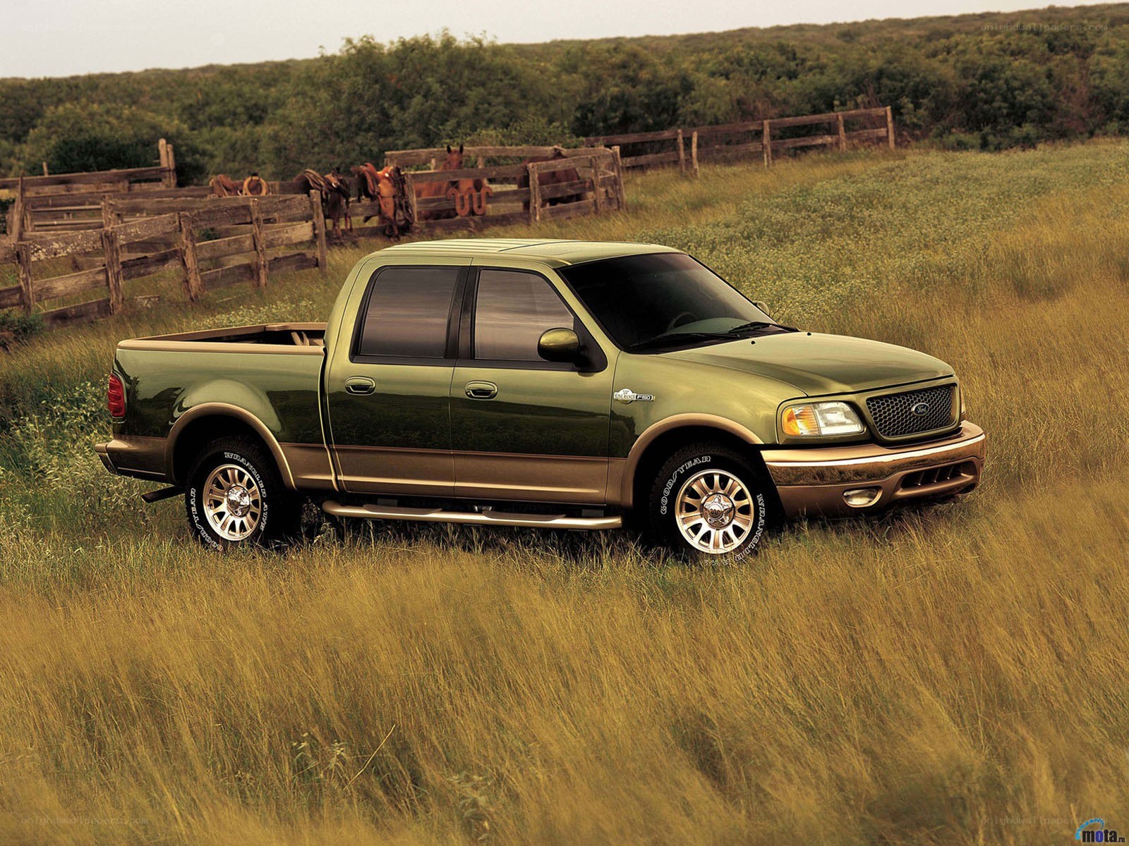 Green Ford F-150 in a field