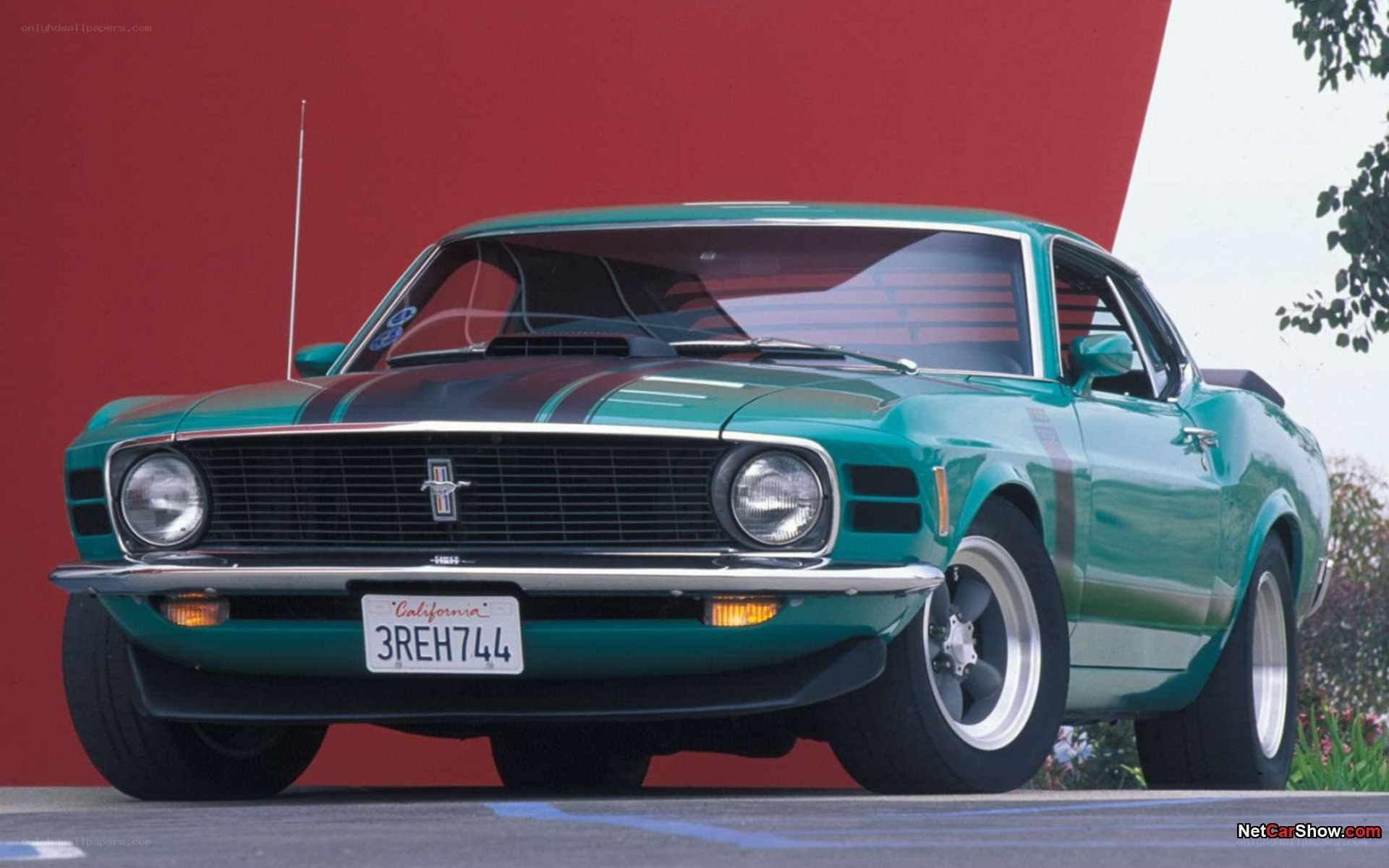Green Ford Mustang Fastback