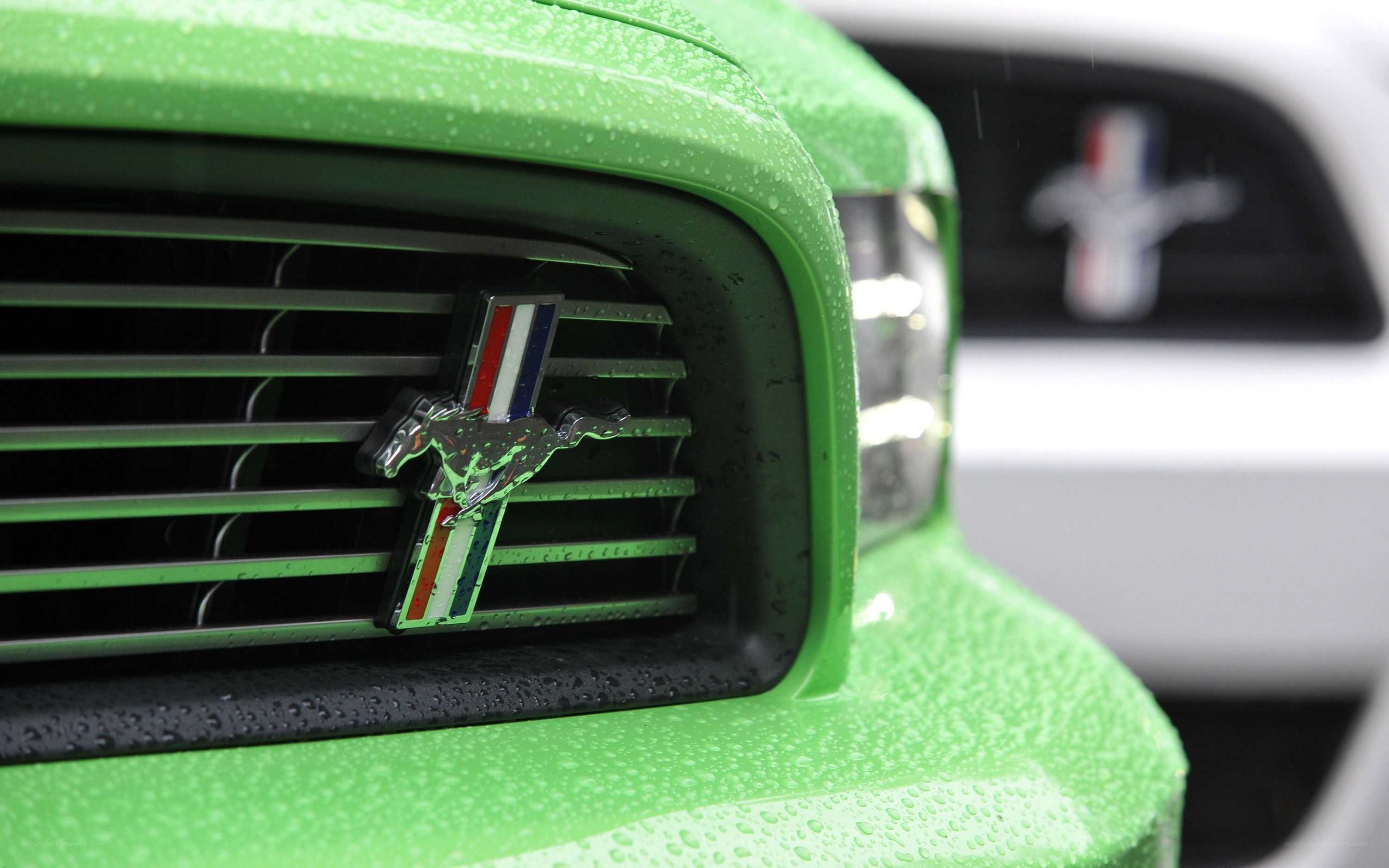 Green Ford Mustang grille