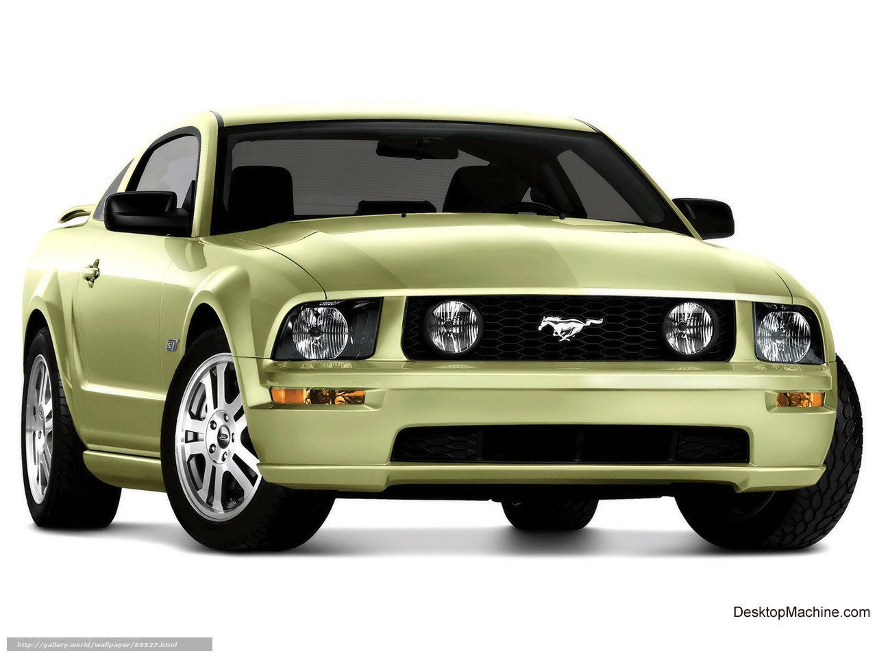 green ford mustang gt