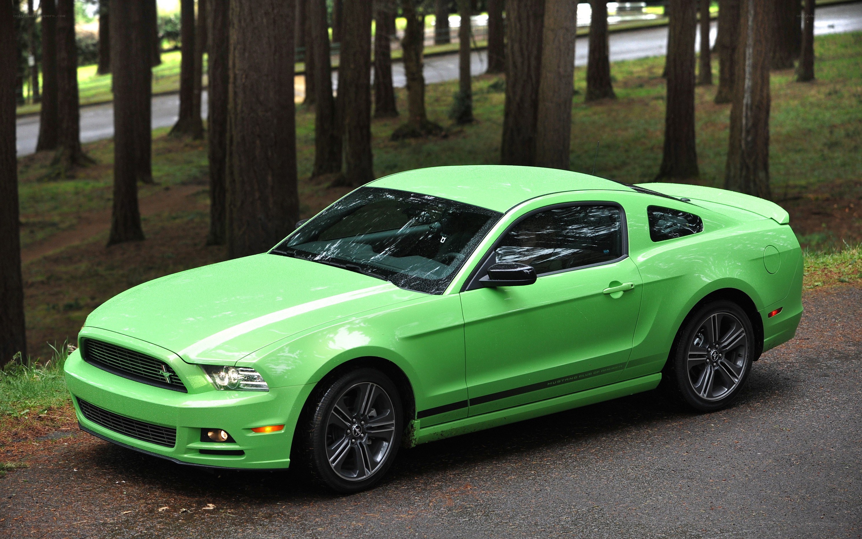 Green Ford Mustang in forest