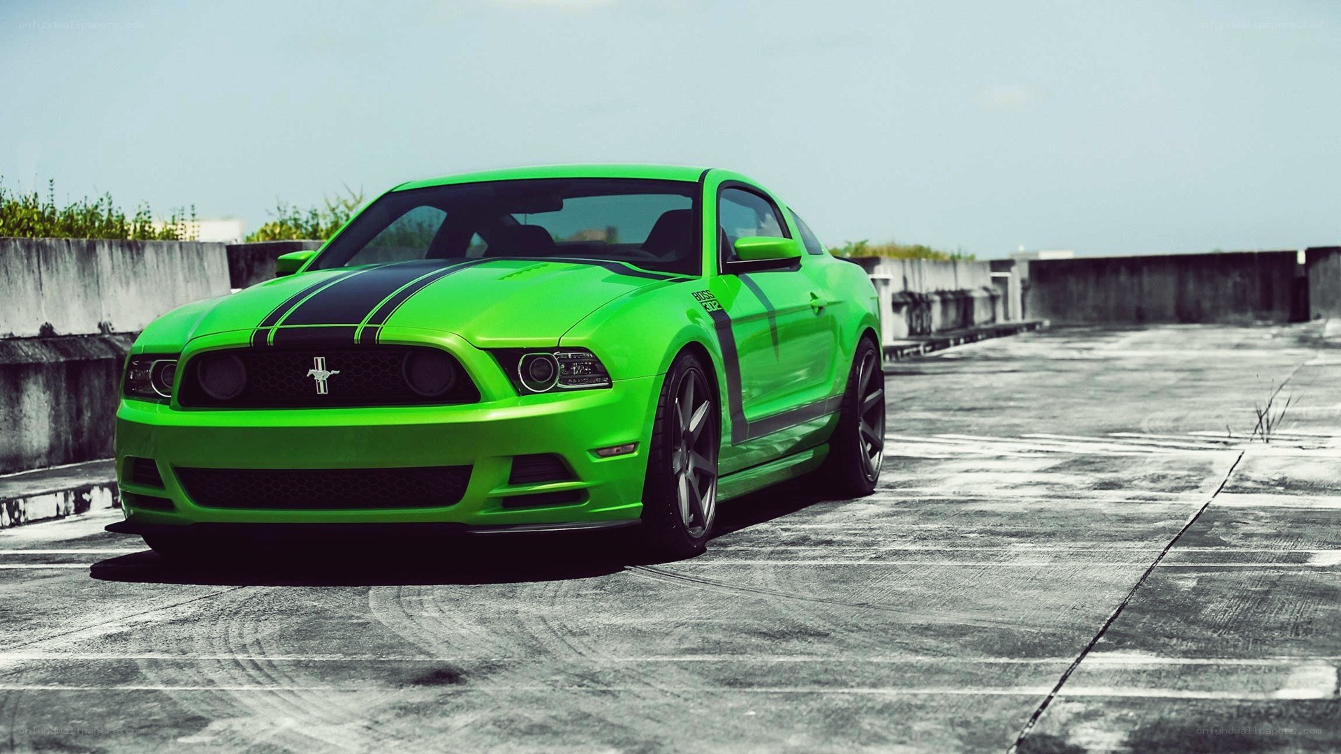 green ford mustang on rooftop