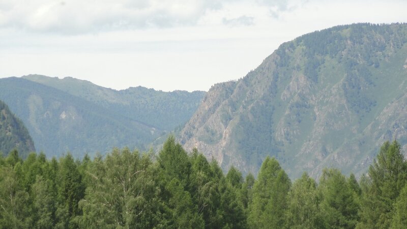 Green Forest and Mountains — Serene, Afternoon